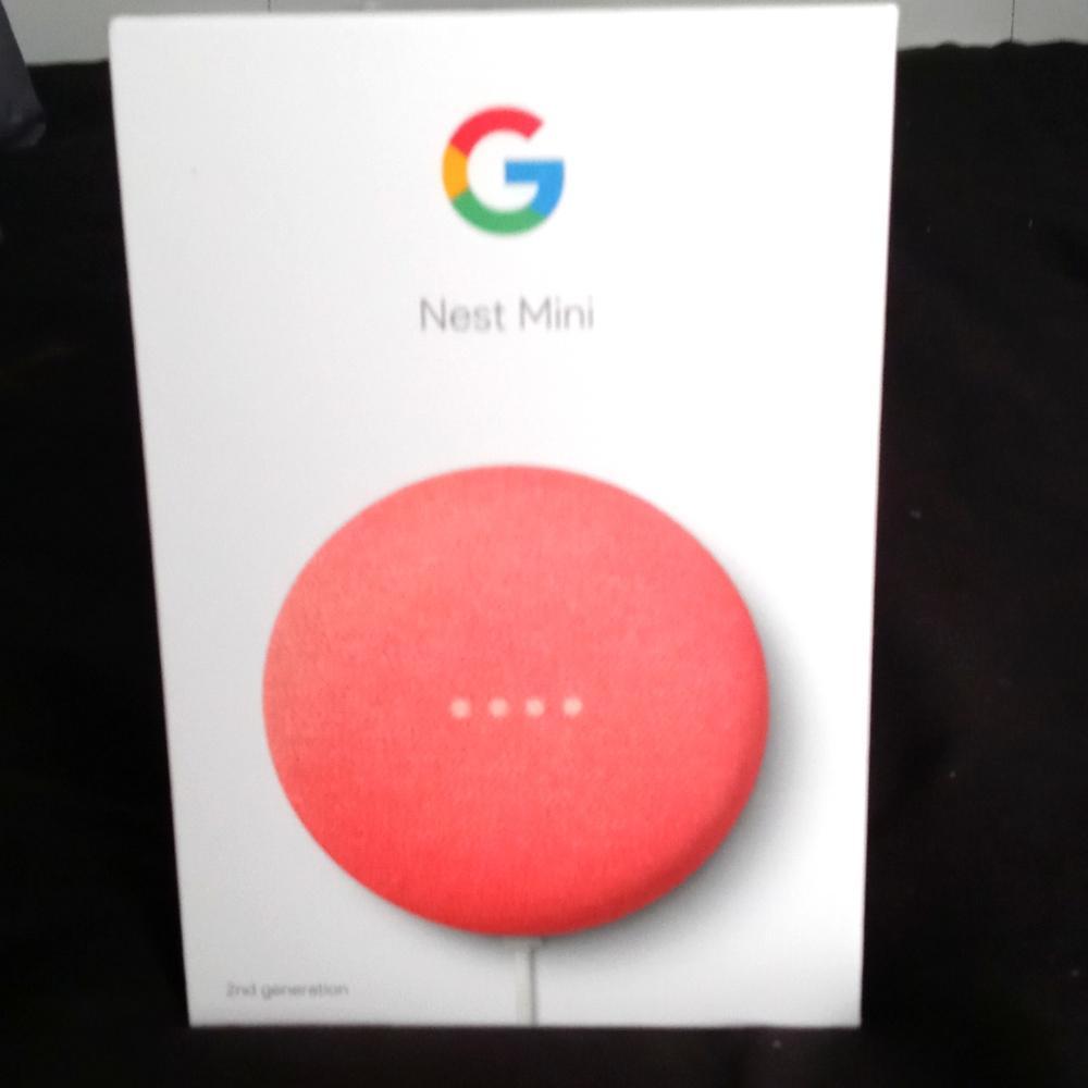 Nest mini